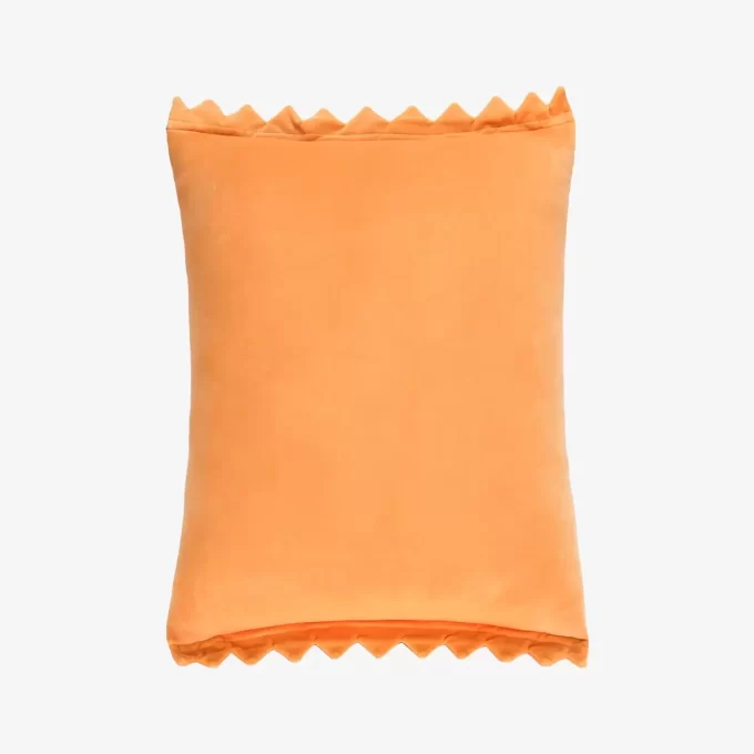 THE MONSTERS Wacky Mart Series-Pillow (Chips)